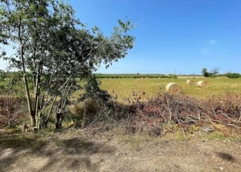 Rustic Siracusa - photo 2