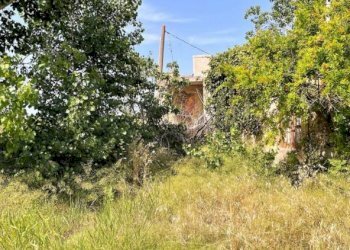 Rustic Siracusa - photo 15