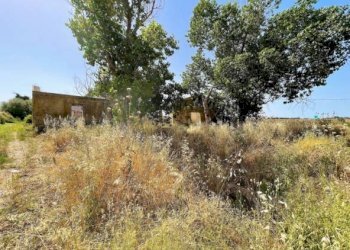 Rustic Siracusa - photo 18