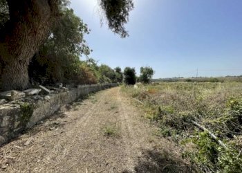 Rustic Siracusa - photo 23