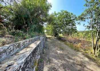 Rustic Siracusa - photo 24