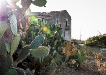 Casale Siracusa - photo 15
