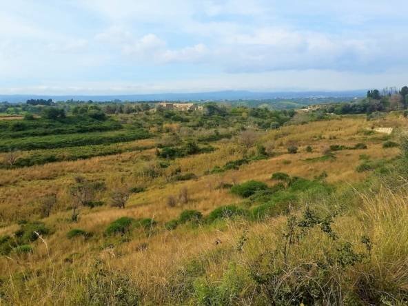 Terreno agricolo contrada capocorso carancino, Siracusa - foto 3