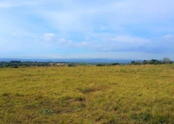 Terreno agricolo contrada capocorso carancino, Siracusa - foto 2