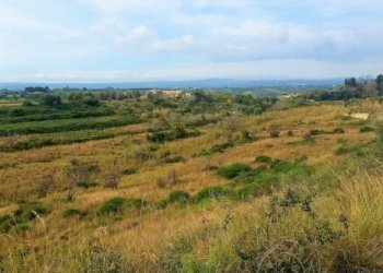 Terreno agricolo contrada capocorso carancino, Siracusa - foto 3