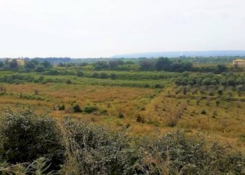 Terreno agricolo contrada capocorso carancino, Siracusa - foto 7
