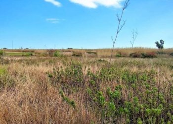 Rustico Noto - foto 8