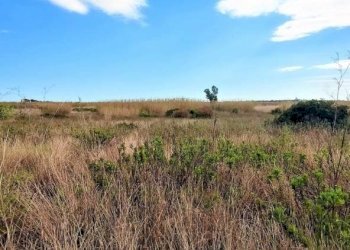 Rustico Noto - foto 9