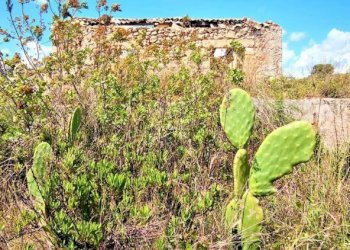 Rustico Noto - foto 12