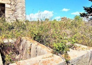 Rustico Noto - foto 20