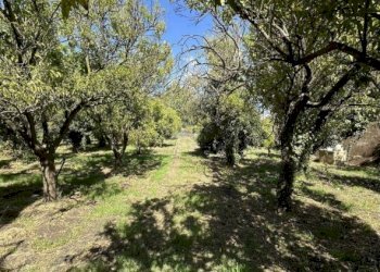 Casale Catania - foto 23