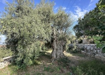 Casale Canicattini Bagni - photo 27