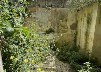 Trilocale Palazzolo Acreide - foto 13