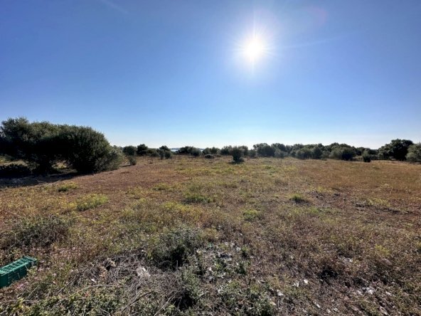Terreno agricolo Siracusa - foto 3
