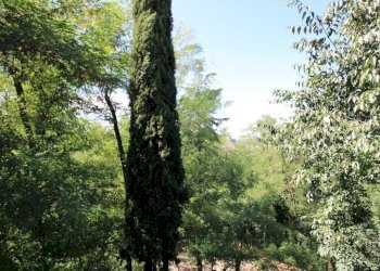 Villa Unifamiliare Quattro Castella - foto 29