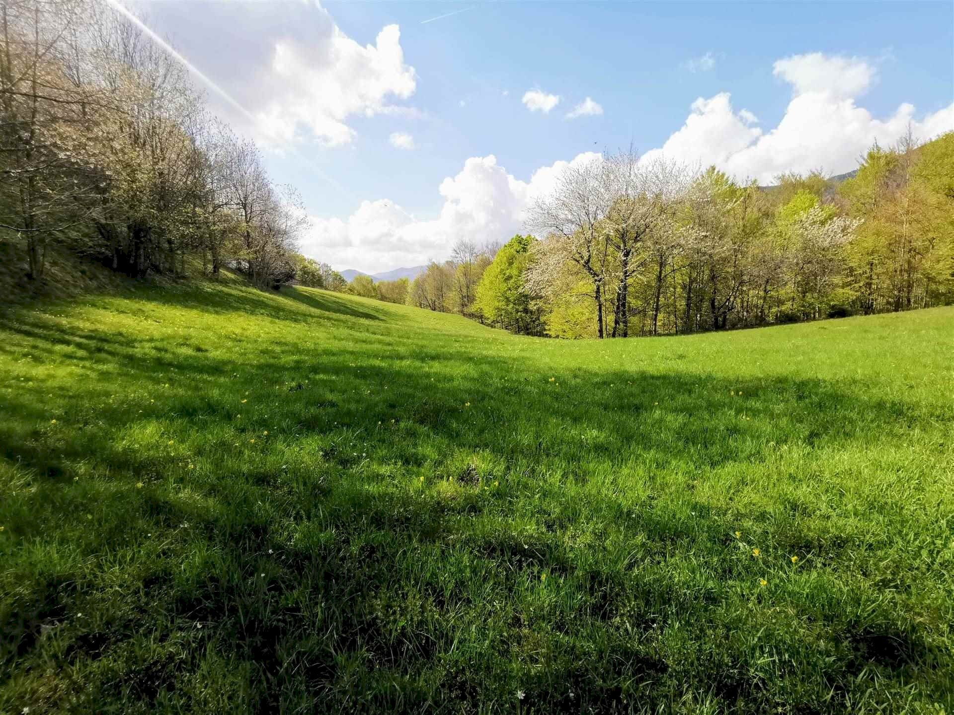 Rustico Fiumalbo - foto 3