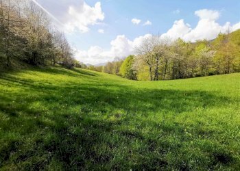 Rustico Fiumalbo - foto 3