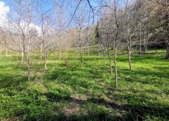 Rustico Fiumalbo - foto 4