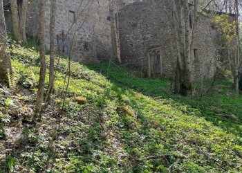 Rustico Fiumalbo - foto 6