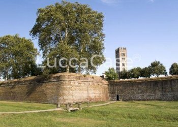 Office Lucca (neighborhood San Concordio Contrada) - photo 8