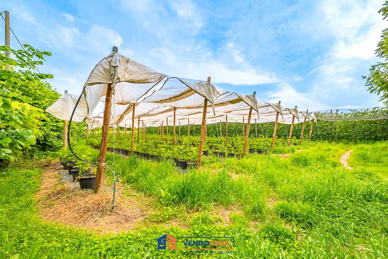 Independent house Saluzzo - photo 2