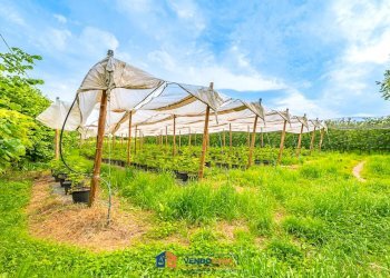 Independent house Saluzzo - photo 2