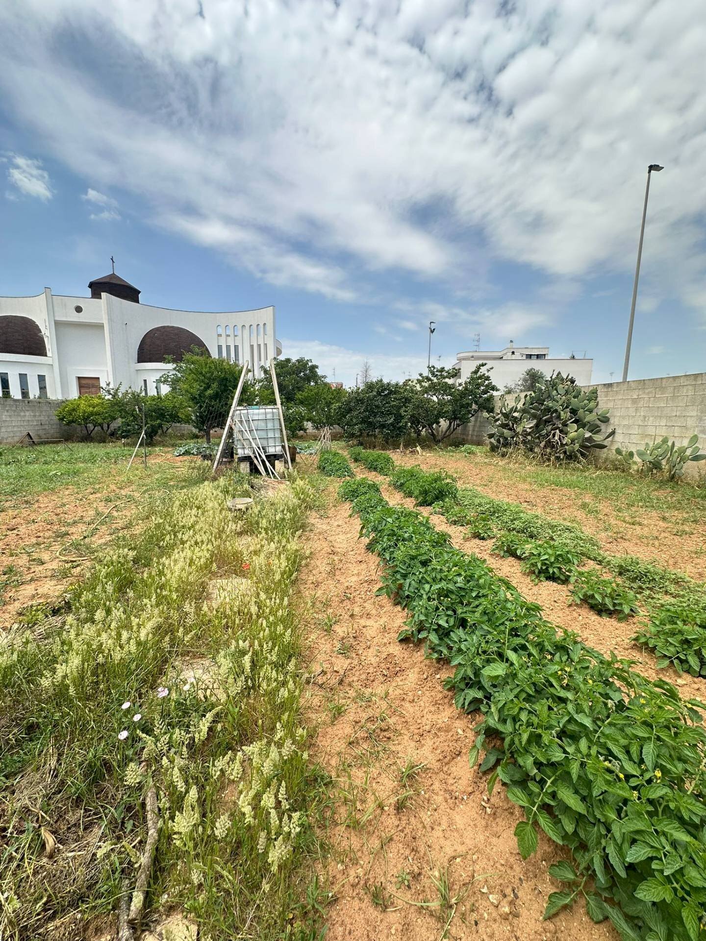 Foto 2 - Building land parrocchia spirito santo, Lequile - photo 2