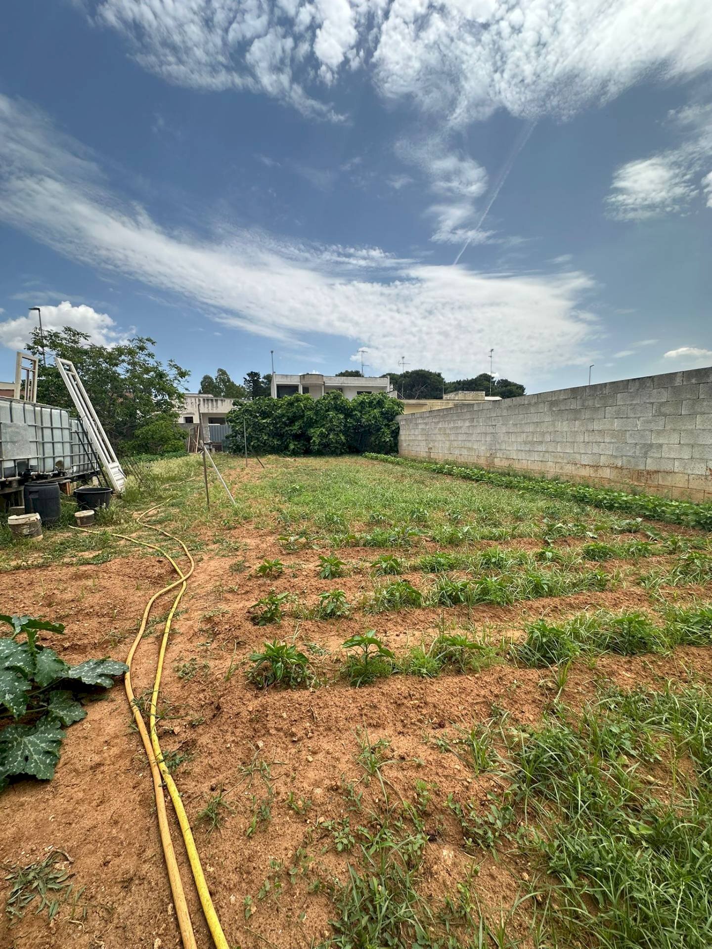 Foto 3 - Building land parrocchia spirito santo, Lequile - photo 3