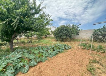 Foto 4 - Terreno edificabile parrocchia spirito santo, Lequile - foto 4