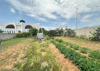 Foto 7 - Terreno edificabile parrocchia spirito santo, Lequile - foto 7