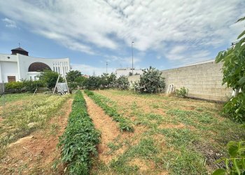 Foto 8 - Terreno edificabile parrocchia spirito santo, Lequile - foto 8