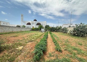 Foto 11 - Terreno edificabile parrocchia spirito santo, Lequile - foto 11