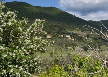 Foto 15 - Casa indipendente Spoleto - foto 15