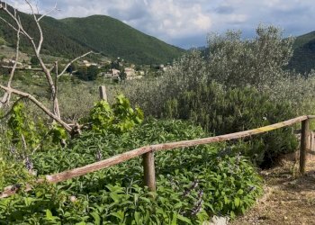 Foto 25 - Casa indipendente Spoleto - foto 25