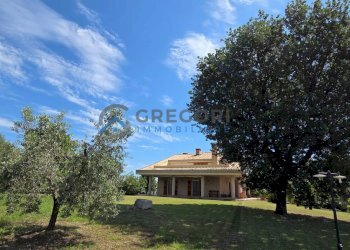 Foto 12 - Villa Giulianova - foto 12