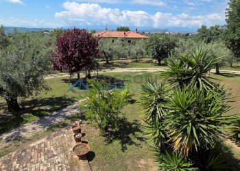 Foto 16 - Villa Giulianova - foto 16