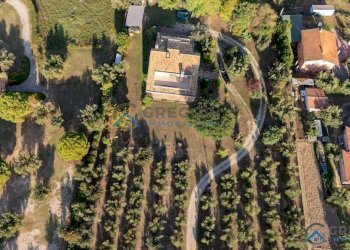 Foto 2 - Villa Giulianova - foto 2