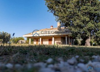 Foto 38 - Villa Giulianova - foto 38