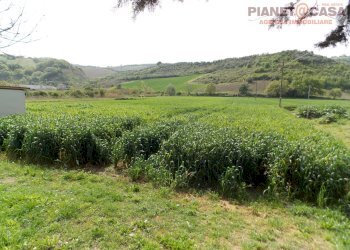 Foto 44 - Casa indipendente Piane Tronto, Spinetoli - foto 44