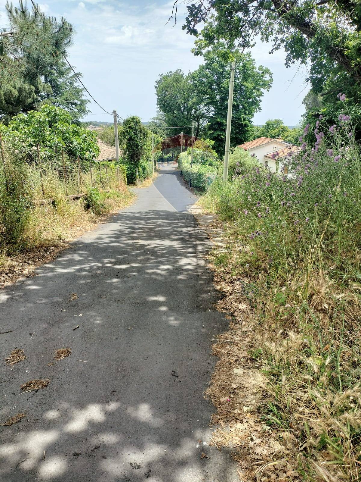 Giardino - Agricultural land contrada pollicino-cava, Viagrande - photo 1