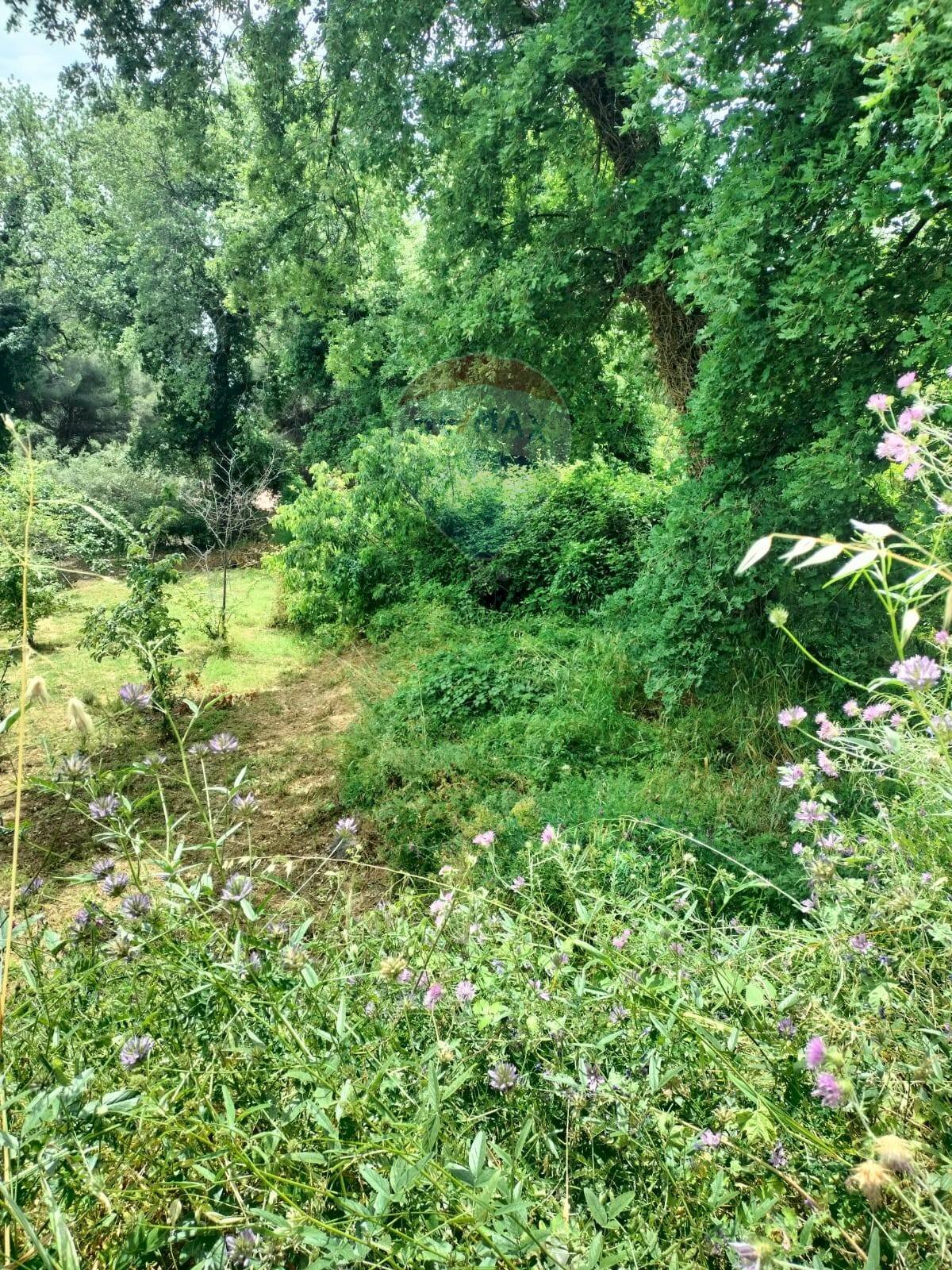 Giardino - Agricultural land contrada pollicino-cava, Viagrande - photo 2