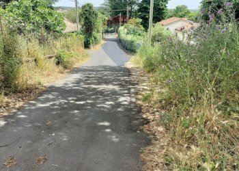 Giardino - Agricultural land contrada pollicino-cava, Viagrande - photo 1