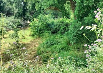 Giardino - Agricultural land contrada pollicino-cava, Viagrande - photo 2