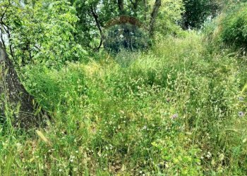 Giardino - Agricultural land contrada pollicino-cava, Viagrande - photo 3