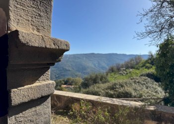 Foto 14 - Azienda agricola santa venera
 
snc, Sinagra - foto 14