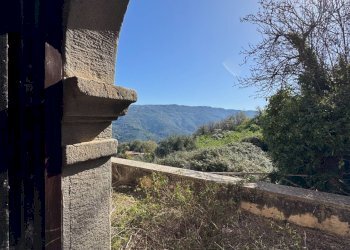 Foto 15 - Azienda agricola santa venera
 
snc, Sinagra - foto 15