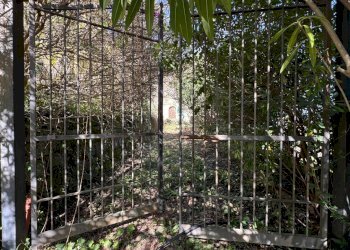 Foto 22 - Azienda agricola santa venera
 
snc, Sinagra - foto 22