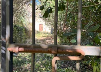 Foto 24 - Azienda agricola santa venera
 
snc, Sinagra - foto 24