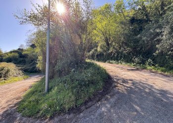 Foto 26 - Azienda agricola santa venera
 
snc, Sinagra - foto 26