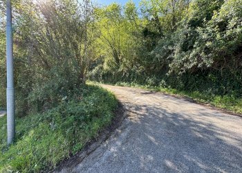 Foto 27 - Azienda agricola santa venera
 
snc, Sinagra - foto 27